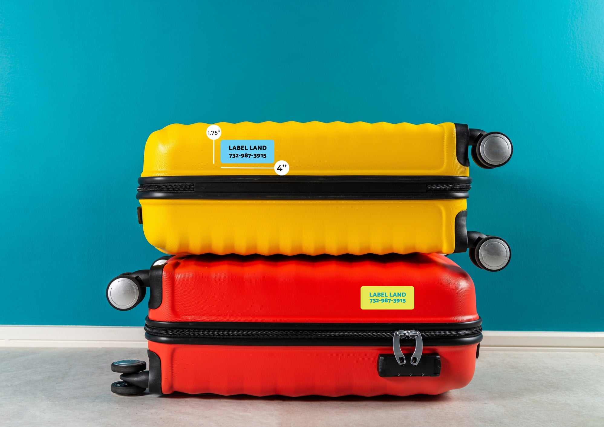 Large See 'em Labels Label Land